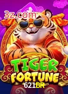 621BR